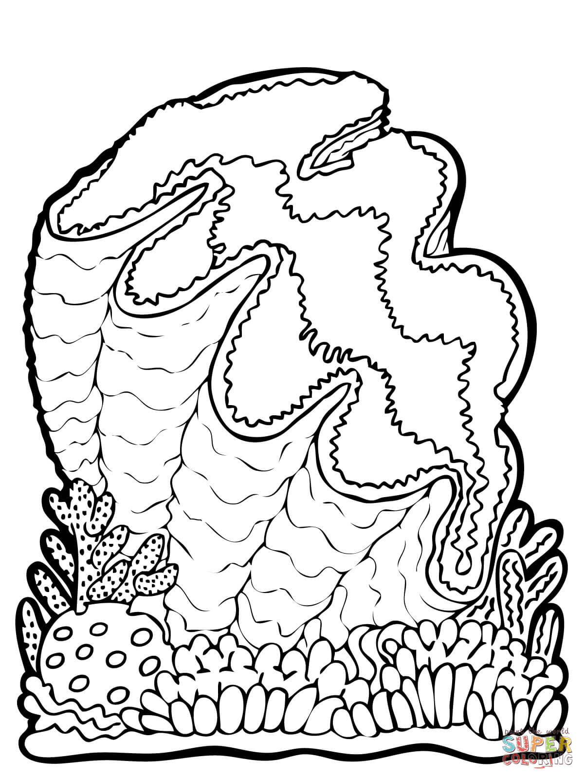 1200x1600 Growth Razor Coloring Pages Pacific Clam Page Free Printable