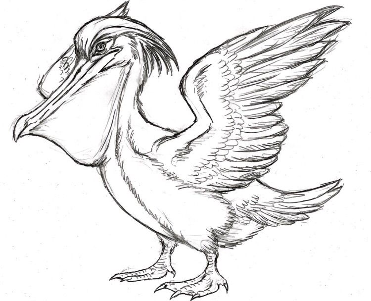 750x608 Pokemon For Real Pelipper Amino