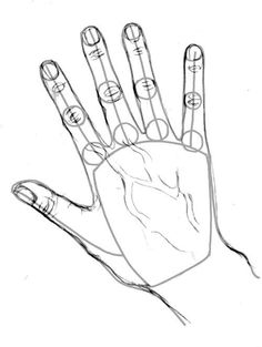 236x313 Hand Drawings A Step By Step How To Draw Realistic Hands, Draw