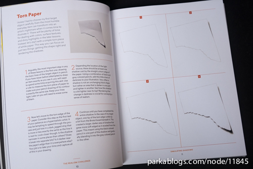 500x334 Book Review The Realism Challenge Drawing And Painting Secrets