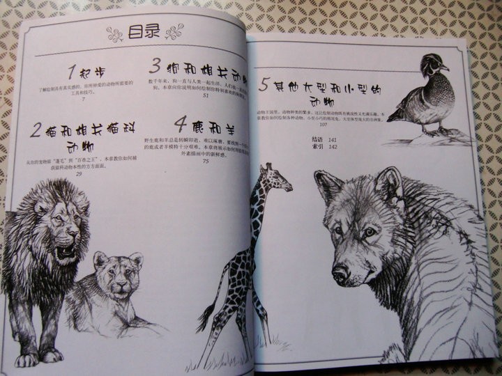 720x540 New Tattoo Book Drawing Realistic Animals Book Tattoo Flash Sketch