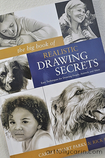365x550 The Big Book Of Realistic Drawing Secrets (Review)