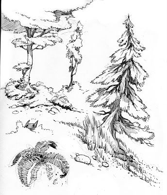 344x400 75 Best How To Draw Realistic Trees, Plants Bushes And Rocks