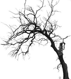 236x262 La De Michael Kenna.