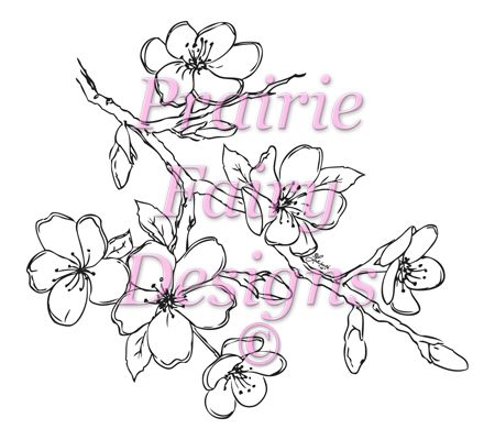 450x400 Japanese Cherry Blossom Pencil Drawing Cherry Blossoms Japanese