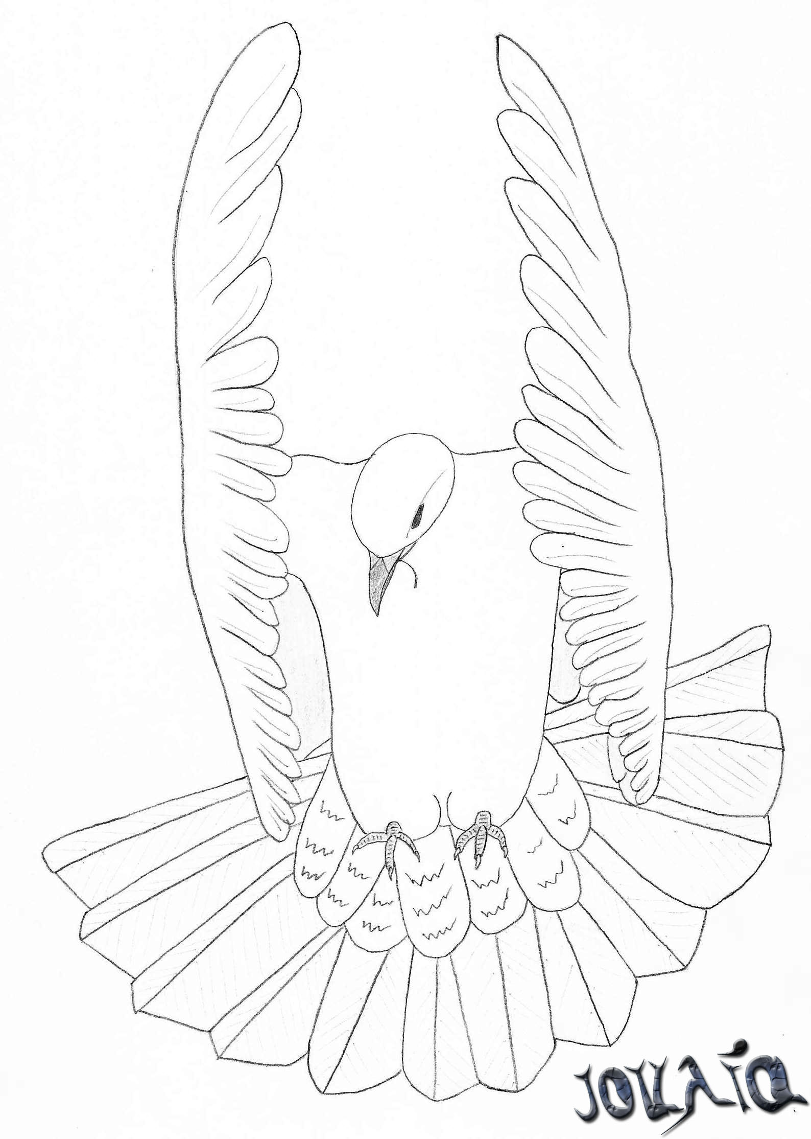 1588x2228 White Dove By Taitiii