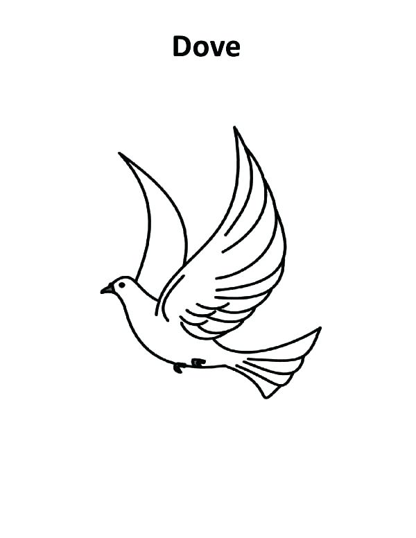 600x776 How To Draw A Dove Cocomori Coloring