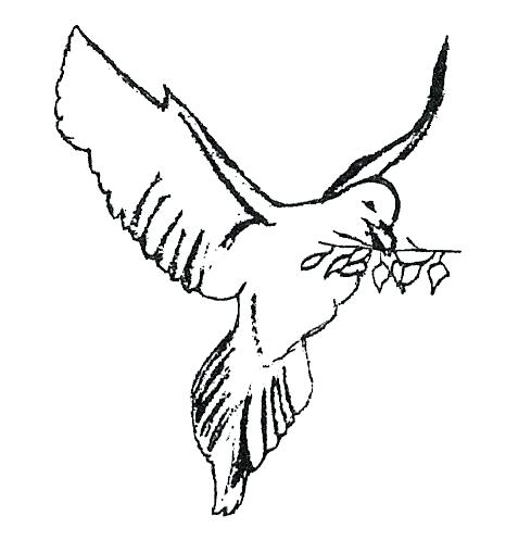 489x509 Dove Drawing Outline Dove Drawing Outline Printable Coloring