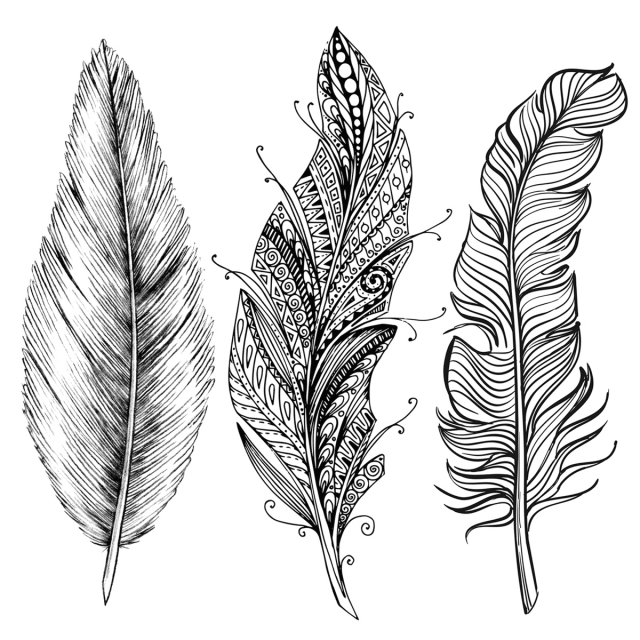 640x640 49 Awesome Pictures Of Feather Drawing Drawing Ideas