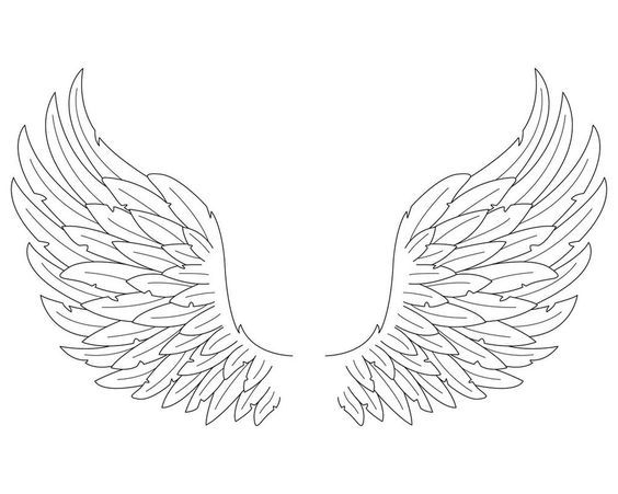 564x451 Realistic Line Drawings