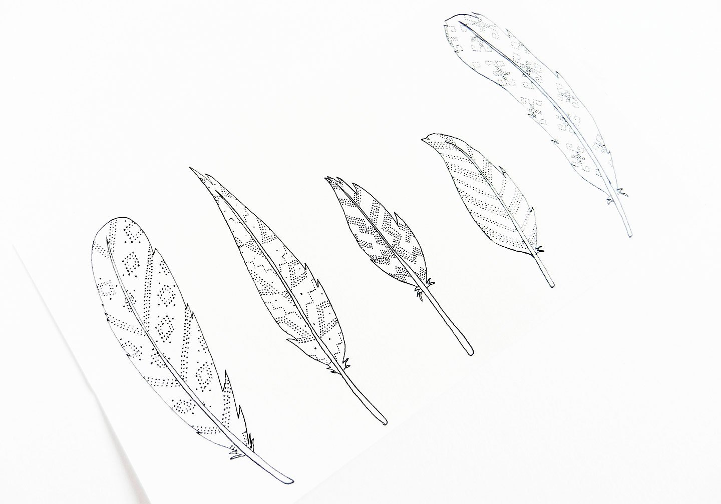 1440x1007 Three Simple Illustration Tutorials Feathers The Postman's Knock