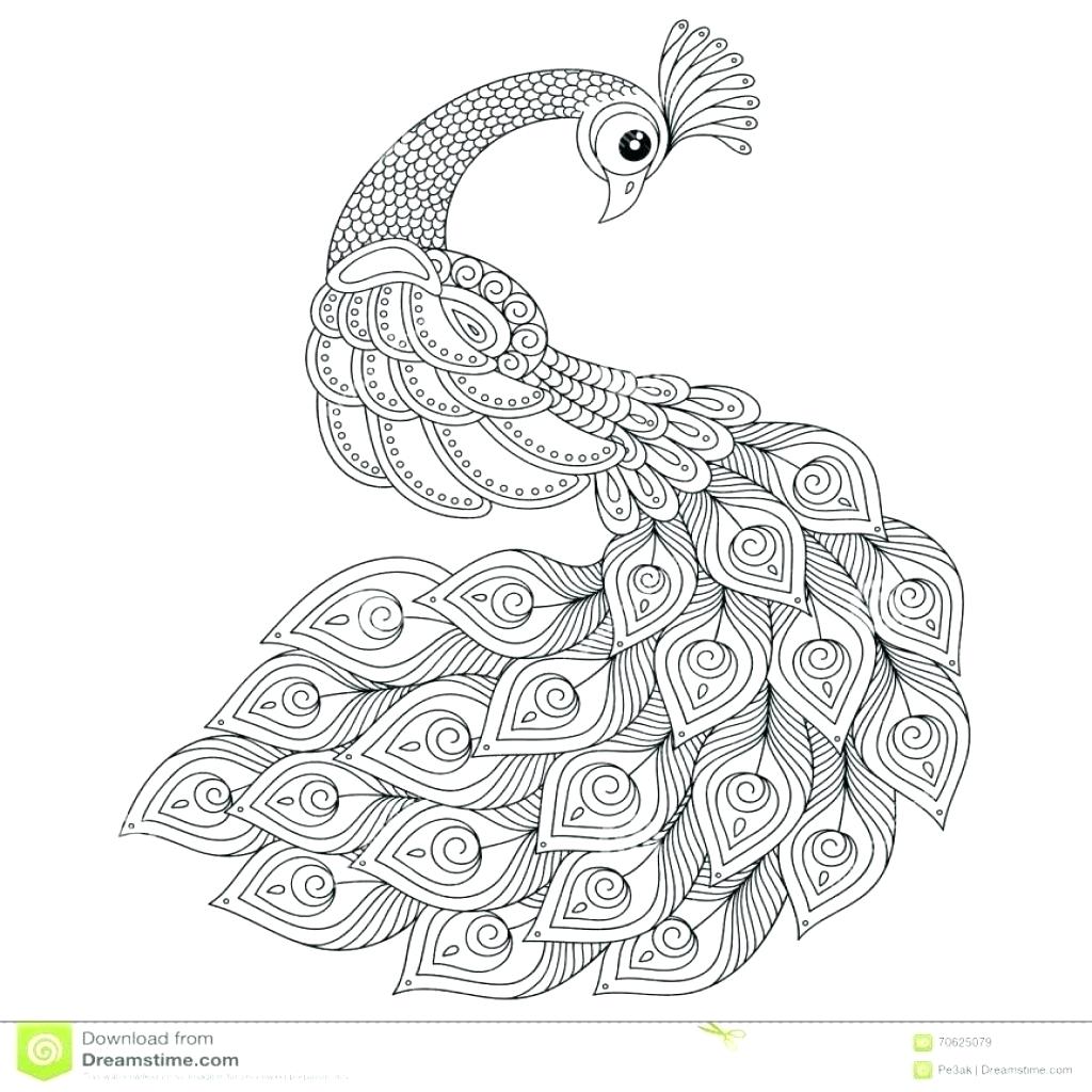 1024x1024 Coloring Peacock Feather Coloring Page In Realistic Peacock