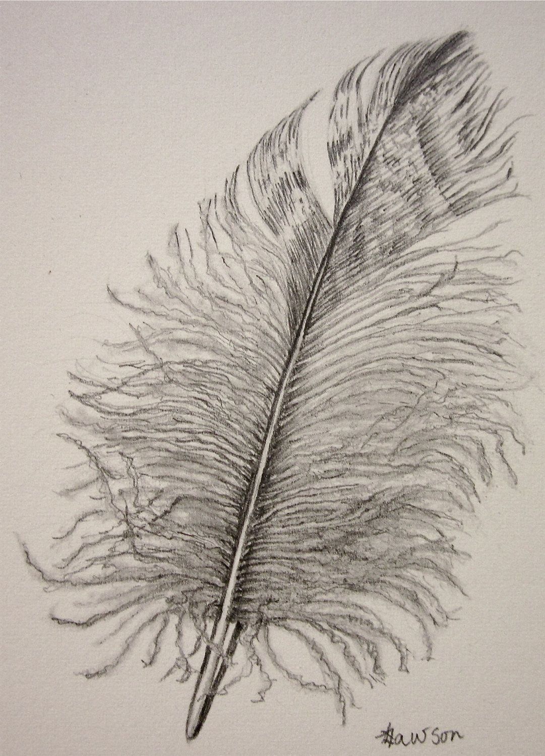 1081x1500 Drawing Realistic Feathers