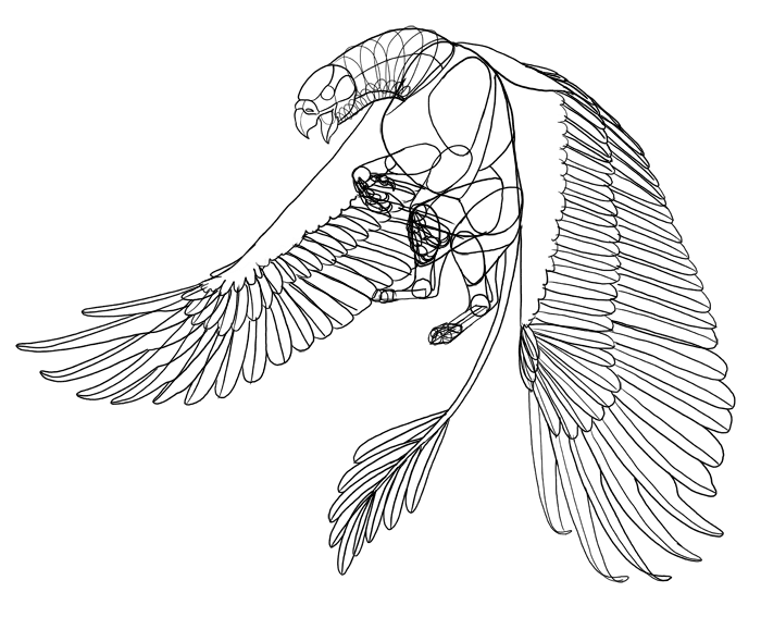 700x567 Drawn Griffon Realistic