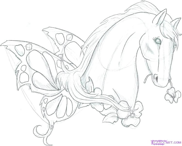 750x602 How To Draw A Realistic Horse Packed With How To Draw A Realistic