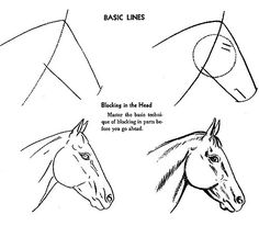 236x216 How To Draw A Realistic Horse Head Arabian By Savannaw Drawing