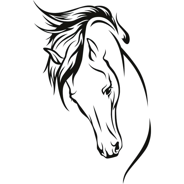 Realistic Horse Head Drawing at GetDrawings | Free download