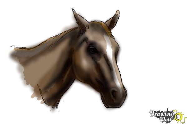600x400 How To Draw A Horse Head