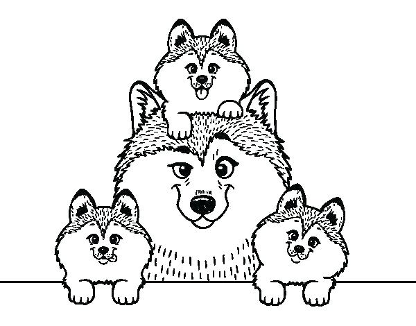 600x470 Husky Coloring Page Beautiful Husky Coloring Page Nice Dog Drawing