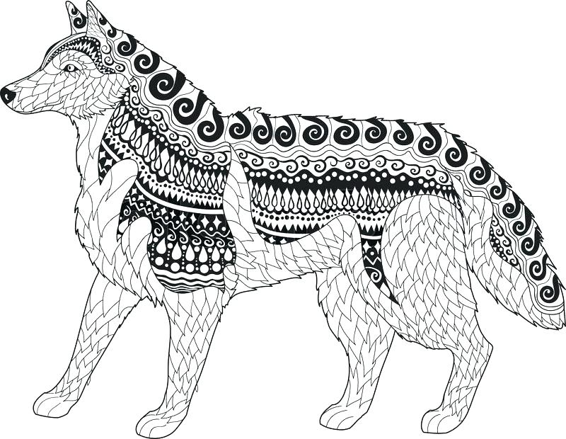 800x620 Husky Coloring Pages Husky Coloring Pages Puppy To Print Page