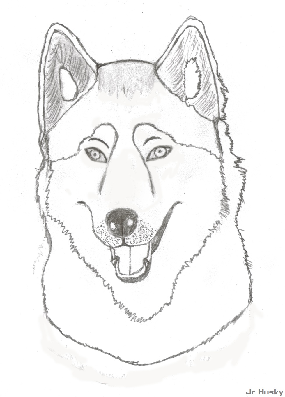 979x1362 Collection Of Easy Husky Face Drawing High Quality, Free
