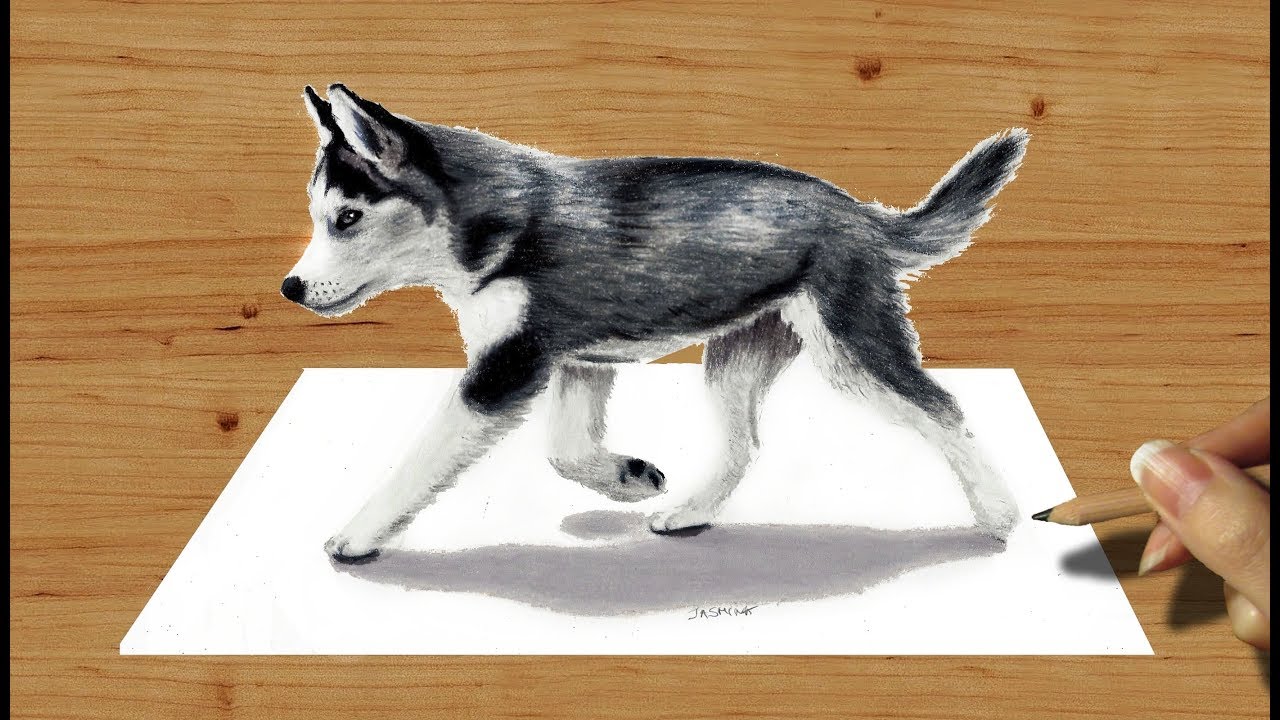 1280x720 3d Pencil Drawing Siberian Husky Puppy