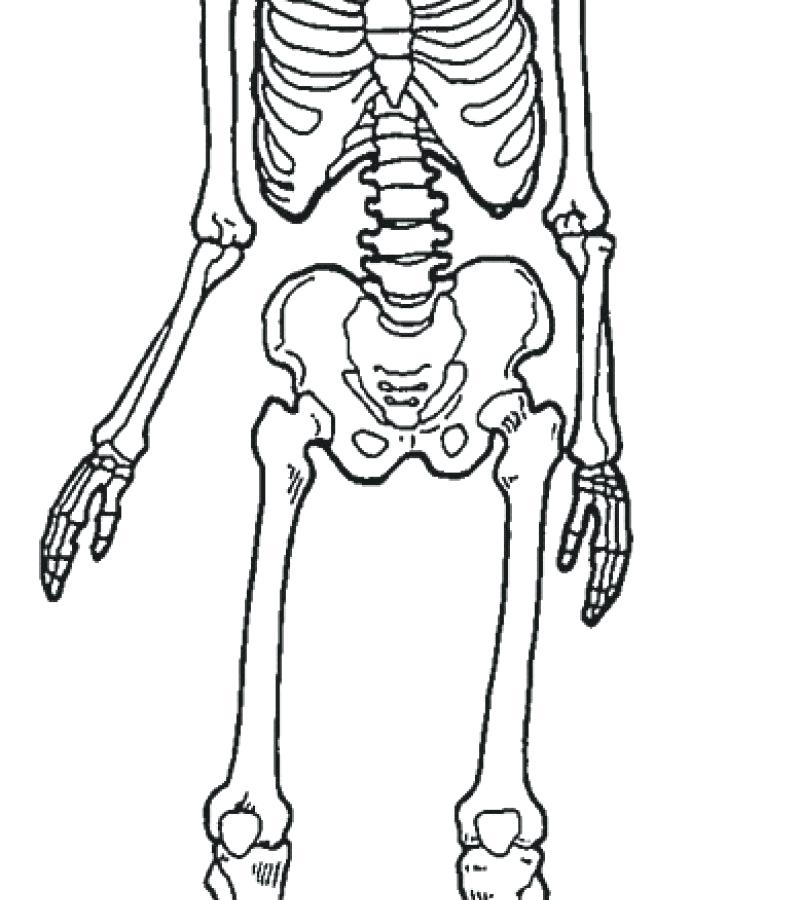 800x900 Dog Bones Coloring Pages Free Dogs Frank New A Page Of Printable