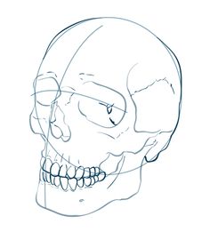 236x270 How To Draw A Human Skull Step By Step. Drawing Tutorials For Kids