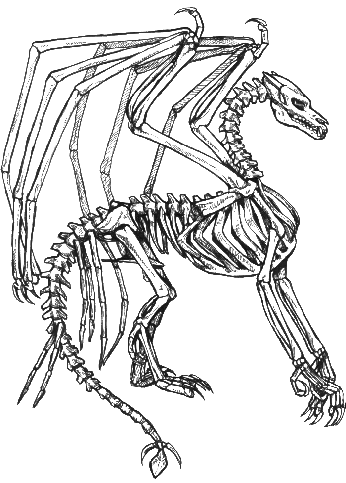 700x976 Skeleton Bone Dragon Coloring Pages