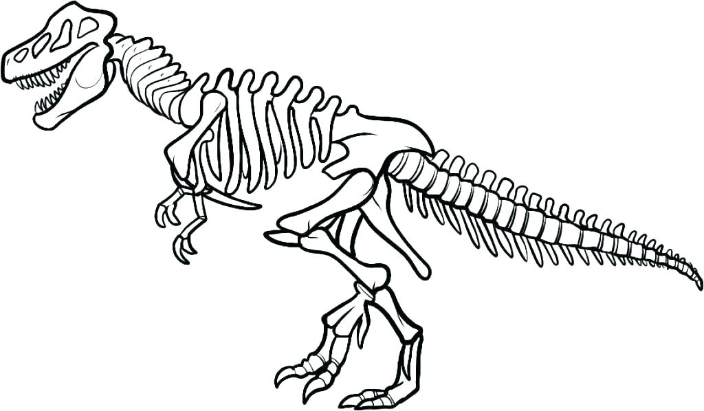 1024x598 Skeleton Coloring Page P On Realistic Dinosaur Coloring Pages