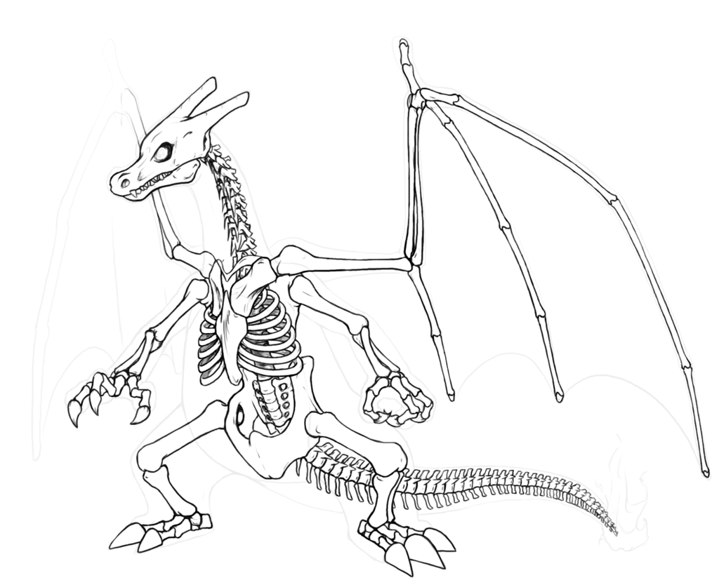 1024x827 Charizard Skeleton V2 By Chibi Pika