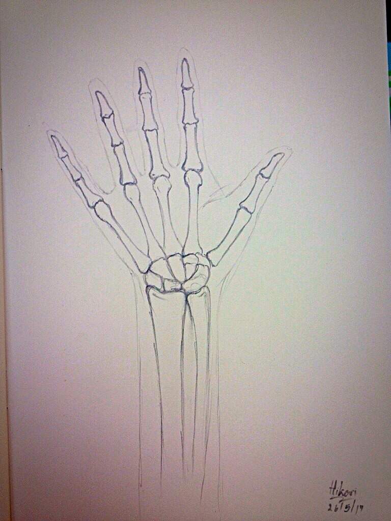 768x1024 Realistic Skeleton Hand Official Sans Amino Amino