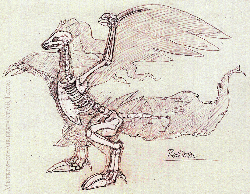 821x637 Reshiram Skeleton Study By Sysirauta