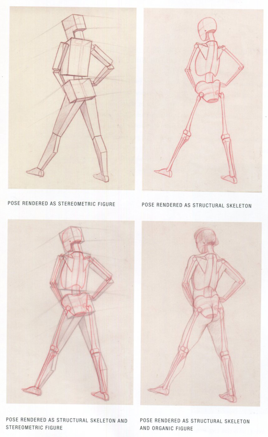 861x1400 The Structural Skeleton Alex Escobar Art Amp Animation