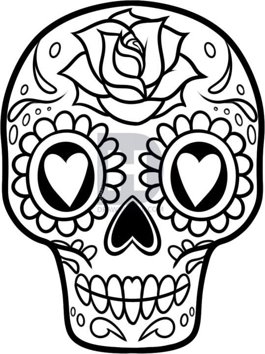539x720 How To Draw A Sugar Skull Easy, Step By Step, Drawing Guide, By