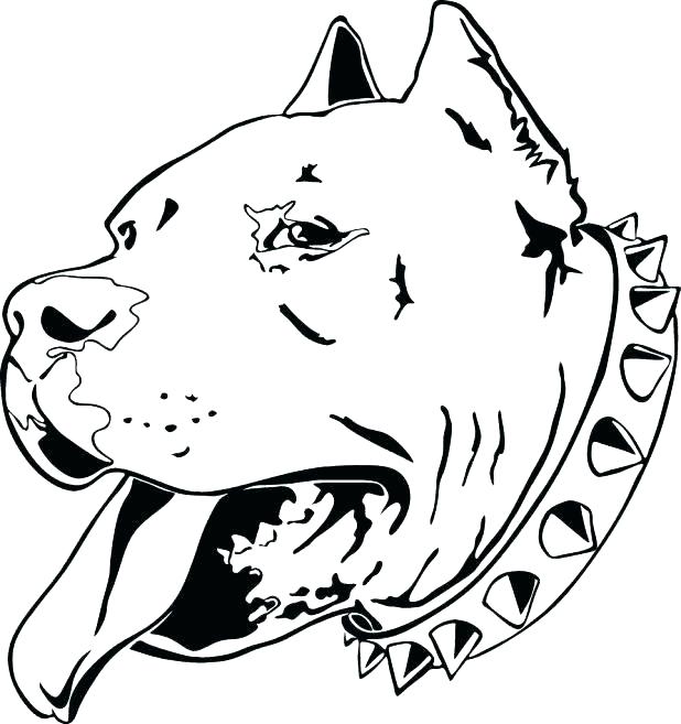 618x657 Husky Coloring Pages Good Husky Coloring Pages And Coloring Page