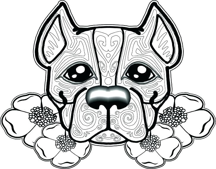 728x570 Pitbull Coloring Page Coloring Page Coloring Pages Coloring Page