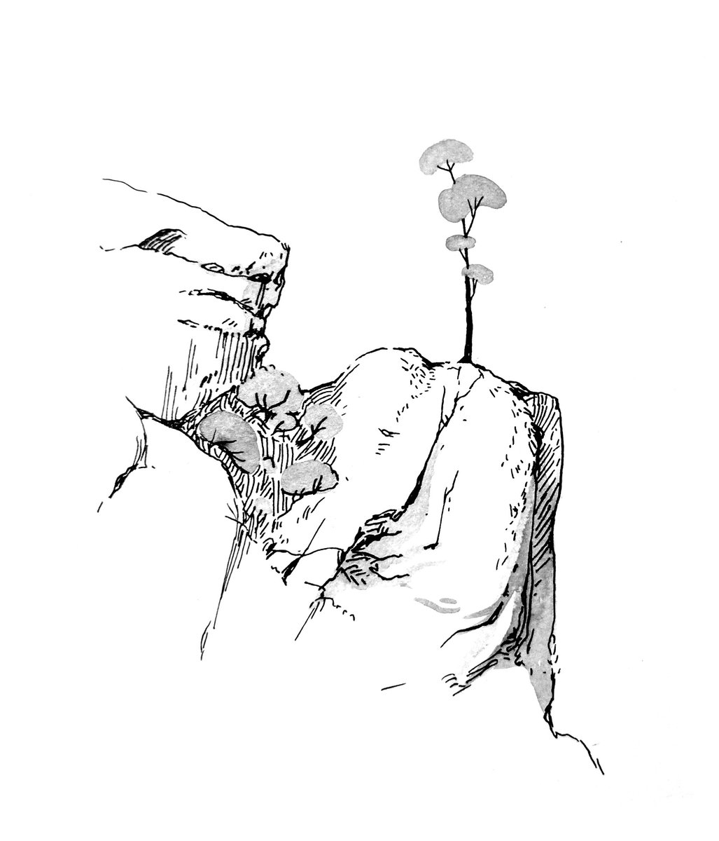 1027x1200 Anita Tung On Twitter A Few More