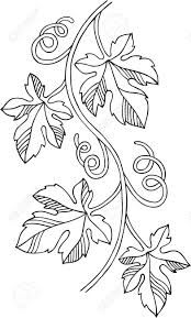 174x289 Image Result For Grape Vines Drawing Stencils Vine