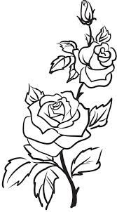 167x302 Image Result For Rose Vine Drawing Health And Beauty
