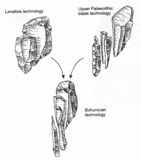 453x523 The Bohunician Reduction Technique And Its Relationship