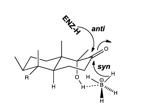 470x350 Transition State Structure Proposed For Reduction Of The Carbonyl