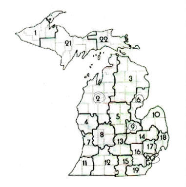 381x384 Region Information