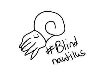 320x240 Nautilus Drawings On Paigeeworld. Pictures Of Nautilus