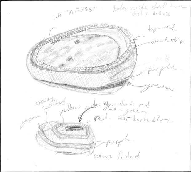 621x560 Condition Report Drawing An Inside View Of The Barrick Museum
