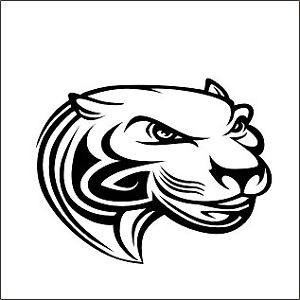 300x300 Isee360 Black Panther Face Die Cut Stylis Car Sticker Water