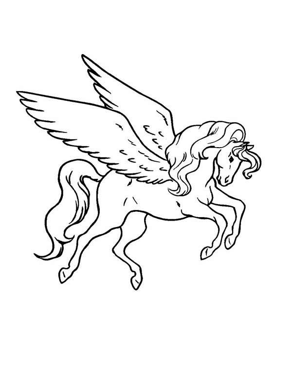 600x776 Pegasus High Resolution Drawing