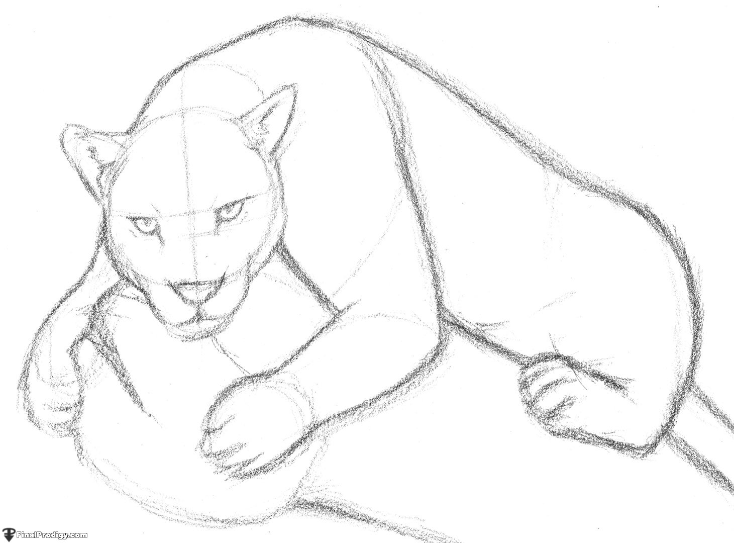 1461x1080 How To Draw A Jaguar