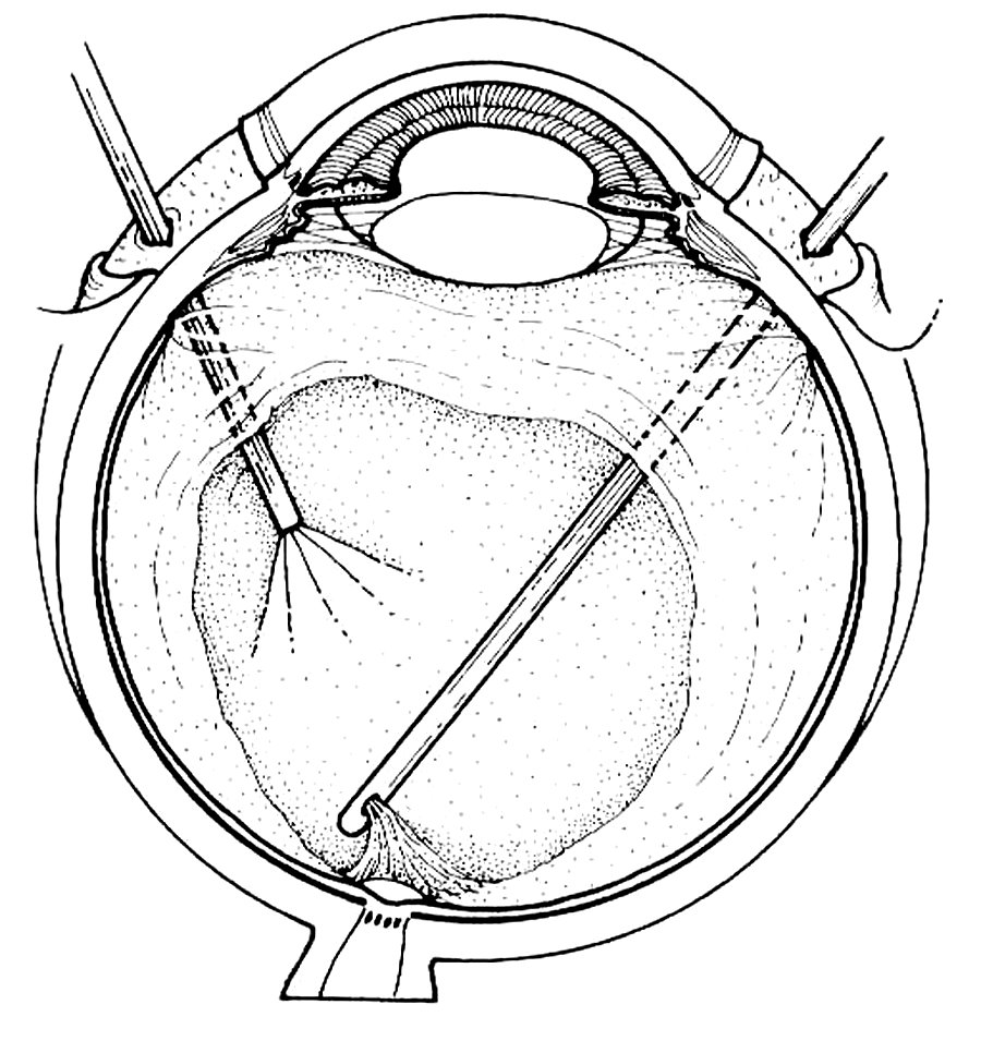 900x955 Norcal Ambulatory Surgery Center