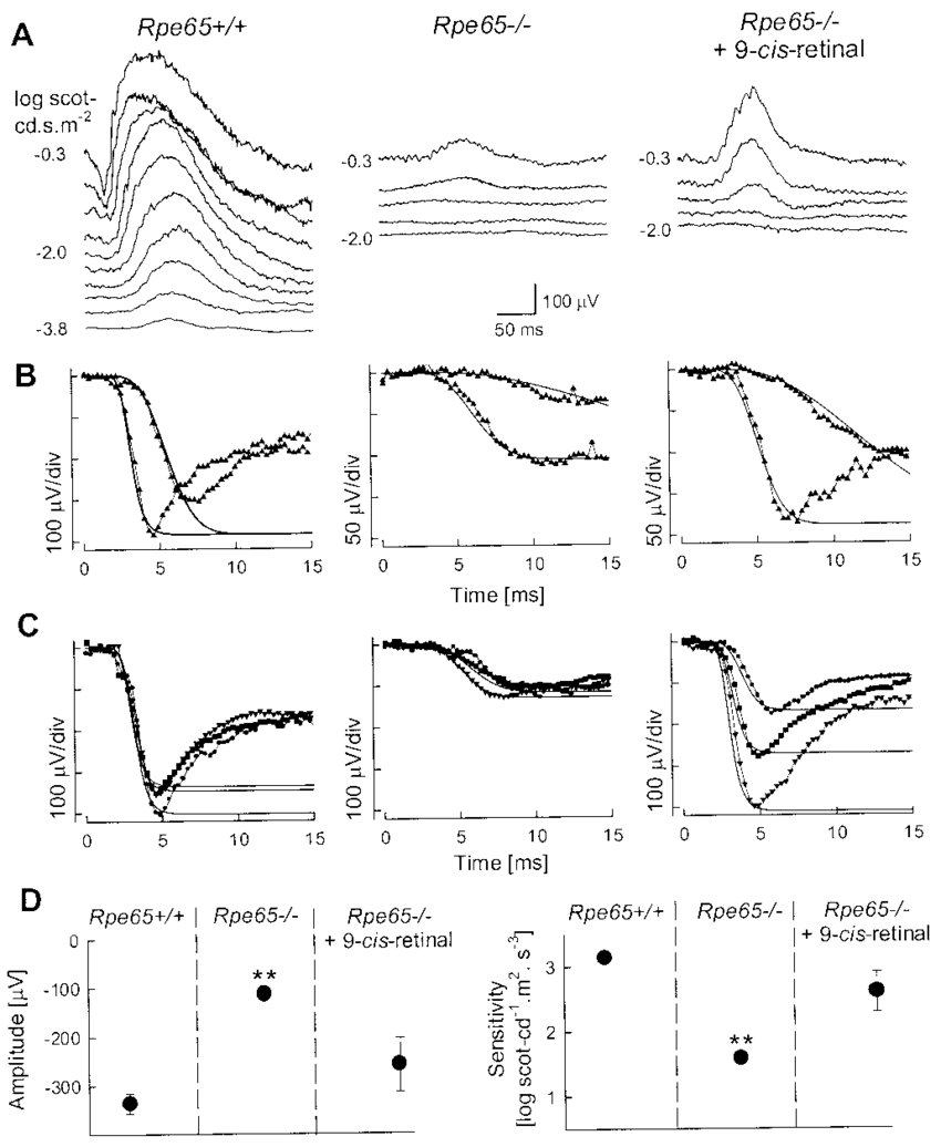 850x1036 Restoration Of Retinal Function In Rpe65 Mice 48 H After 9 Cis